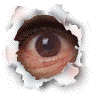 auge07