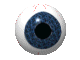 eye_ball